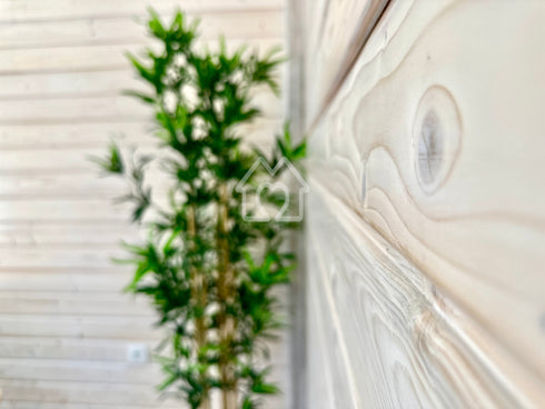 T2 + 1 | Gama Natura